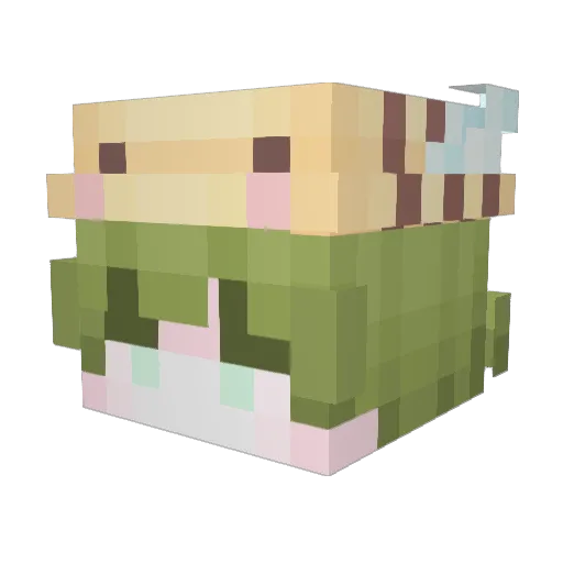 NobiSann2 Minecraft avatar head, 3D render
