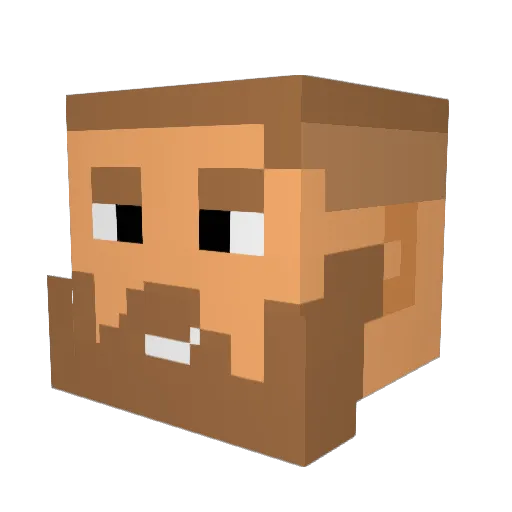 Nobic Minecraft avatar head, 3D render