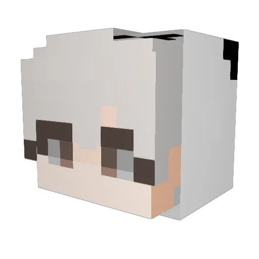 Nobilis__ Minecraft avatar head, 3D render