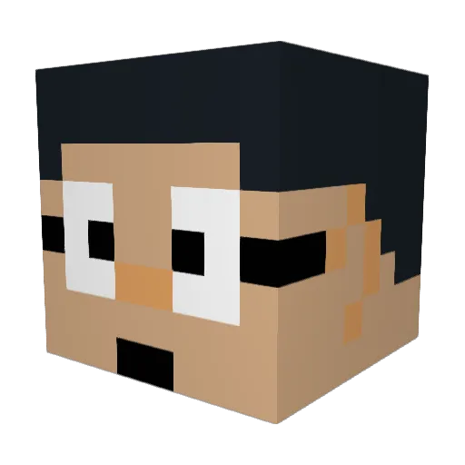 Nobitata911 Minecraft avatar head, 3D render