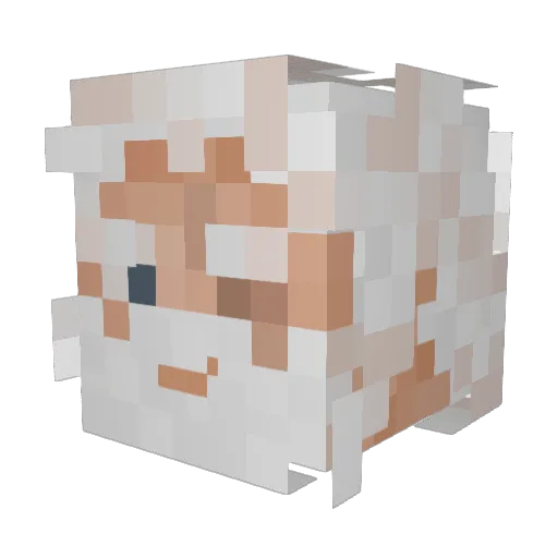 NobleArgon Minecraft avatar head, 3D render