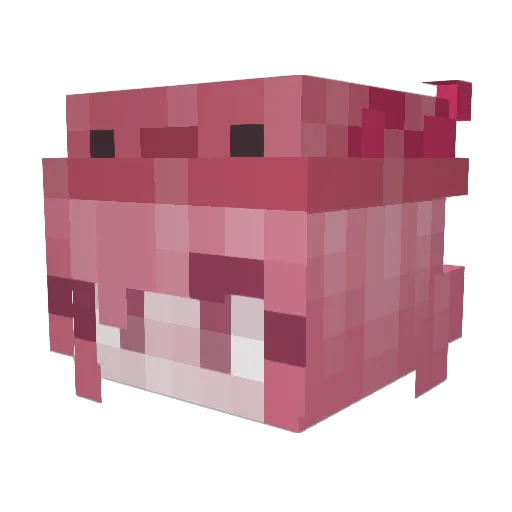 NobleNightMoon Minecraft avatar head, 3D render