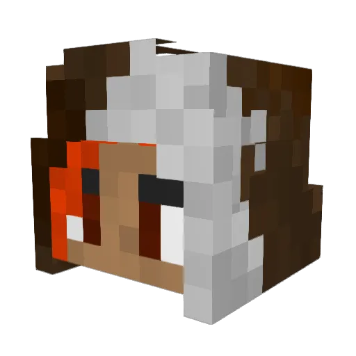 NobleWolf06 Minecraft avatar head, 3D render