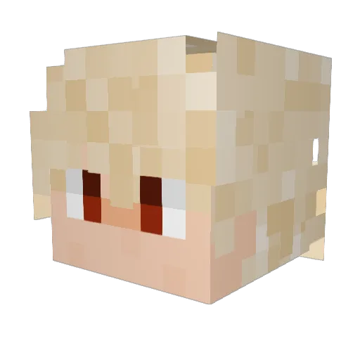 Nobleamir Minecraft avatar head, 3D render