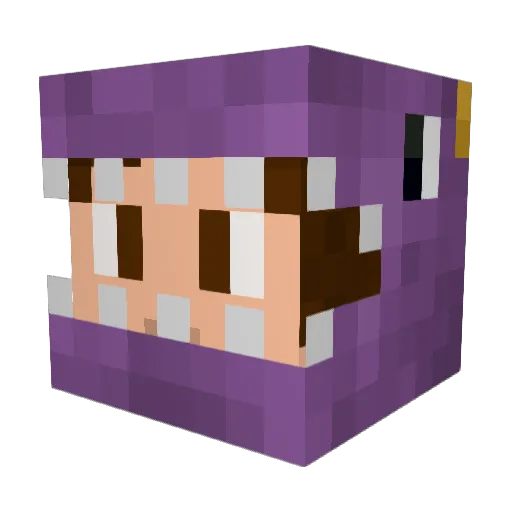 Nobleclaw Minecraft avatar head, 3D render