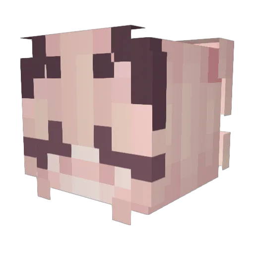 Nobody051224 Minecraft avatar head, 3D render