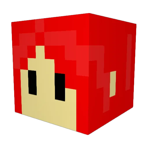 Nobody14789 Minecraft avatar head, 3D render