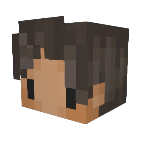 NobodyEm Minecraft avatar head, 3D render