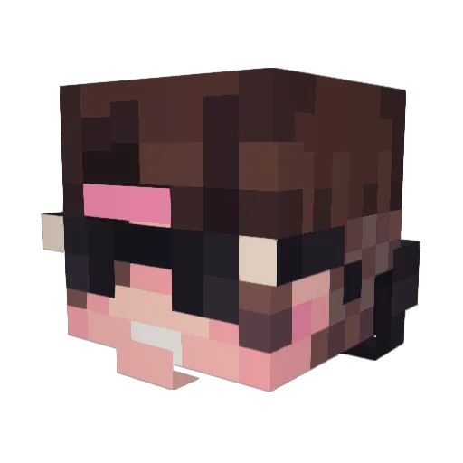 NobodyFast Minecraft avatar head, 3D render