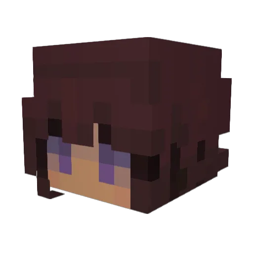 NobodyIsEternal Minecraft avatar head, 3D render