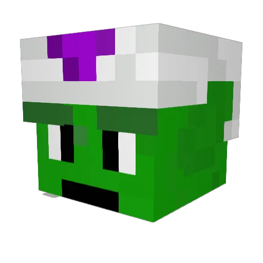 NobodyKnows10 Minecraft avatar head, 3D render