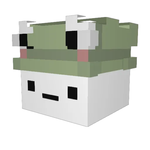 NobodyNamedHoshi Minecraft avatar head, 3D render