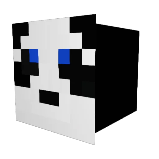 NobodyNothing000 Minecraft avatar head, 3D render