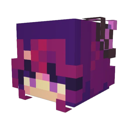 NobodyRemembers Minecraft avatar head, 3D render