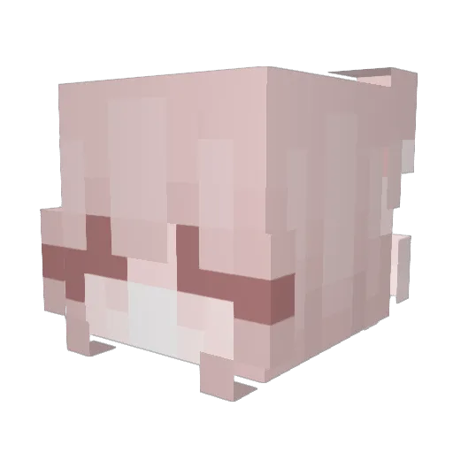 NobodyShouldKnow Minecraft avatar head, 3D render