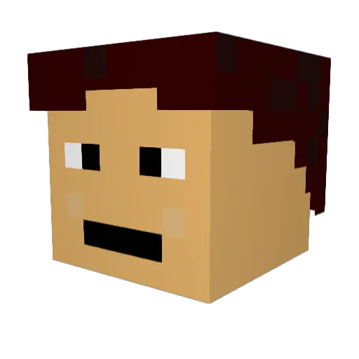 NobodyStar Minecraft avatar head, 3D render