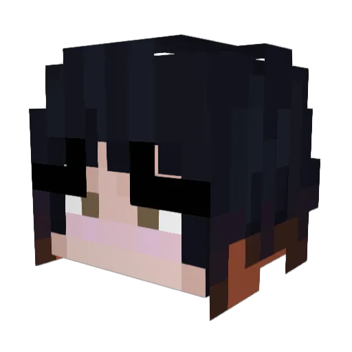 Nobody_0510 Minecraft avatar head, 3D render