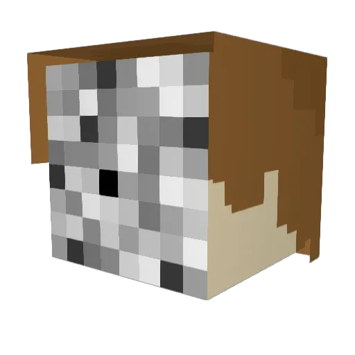 Nobody_08 Minecraft avatar head, 3D render