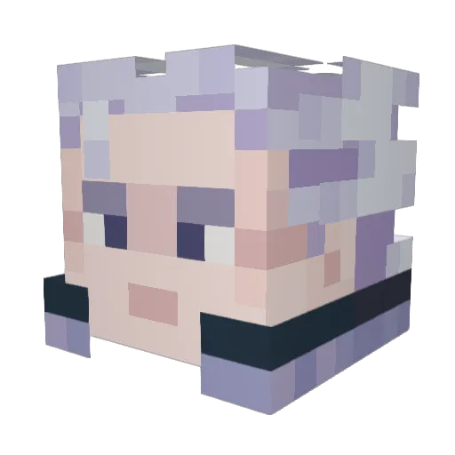 Nobody_24 Minecraft avatar head, 3D render