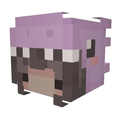 Nobody_90 Minecraft avatar head, 3D render