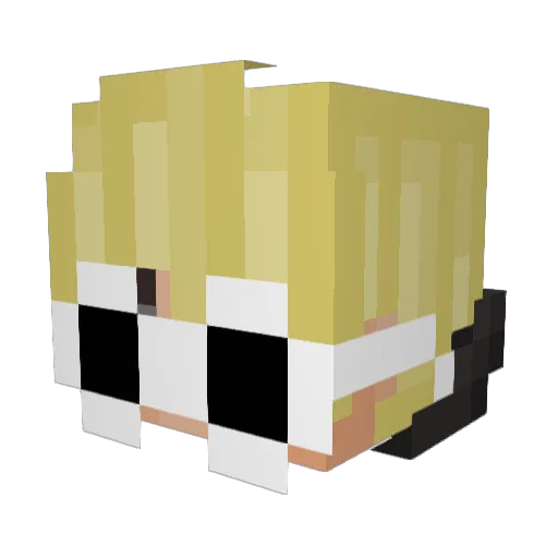 Nobody_is_Home Minecraft avatar head, 3D render