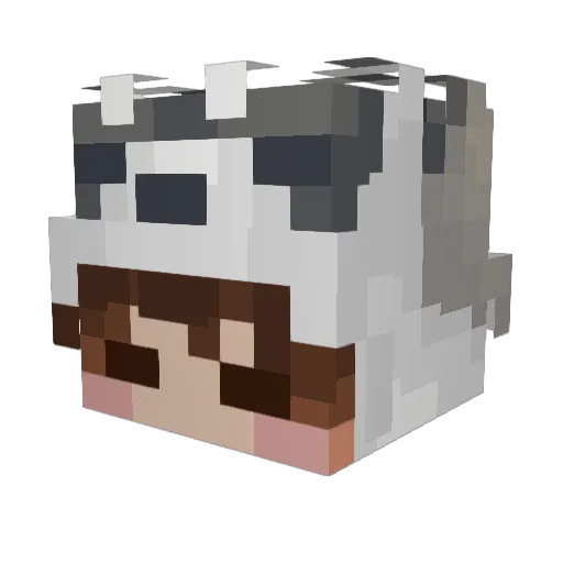 Nobodyhere_ Minecraft avatar head, 3D render