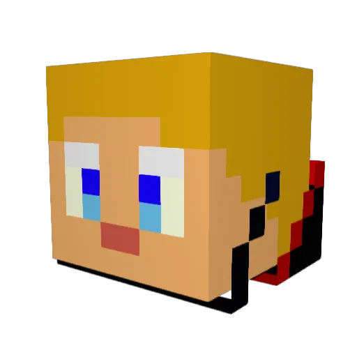 Nobodyi Minecraft avatar head, 3D render