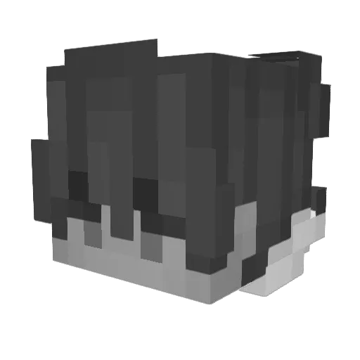 Nobodylovesme01 Minecraft avatar head, 3D render