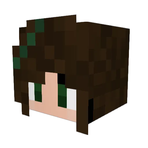 Nobodysseus Minecraft avatar head, 3D render