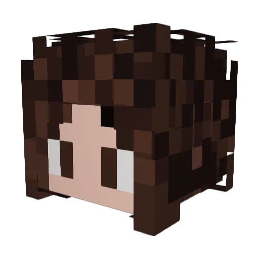 Nobrezin4000 Minecraft avatar head, 3D render