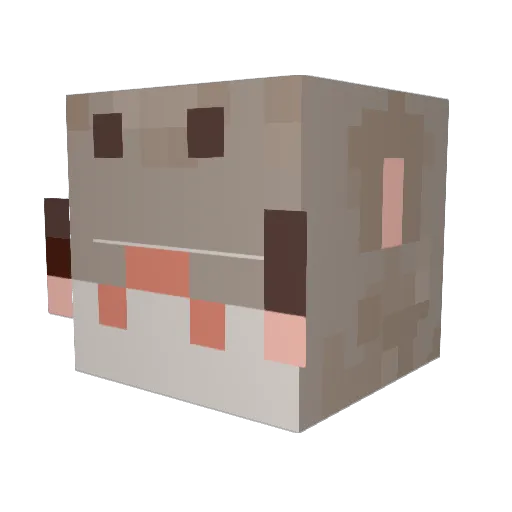 Nobsszzz Minecraft avatar head, 3D render