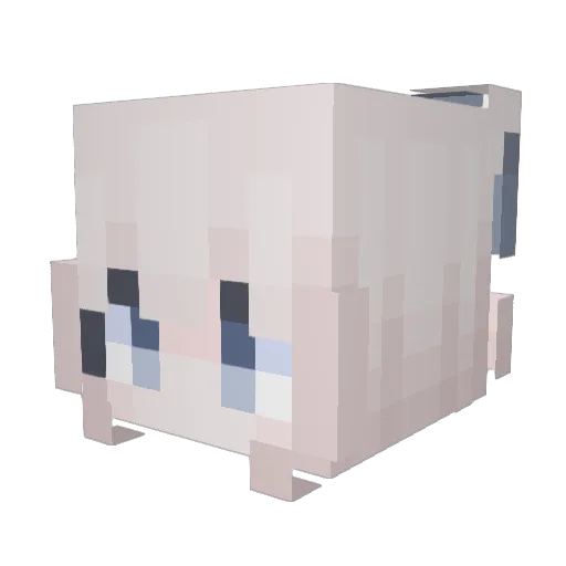 Noche Minecraft avatar head, 3D render