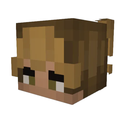 Noche_084 Minecraft avatar head, 3D render