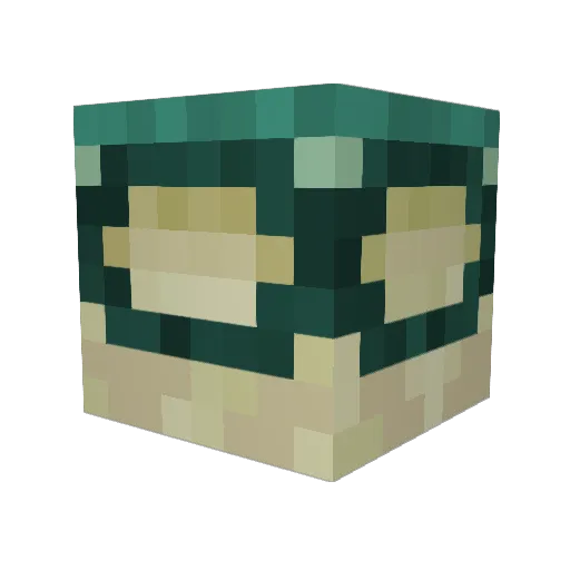 Nocholas_____ Minecraft avatar head, 3D render