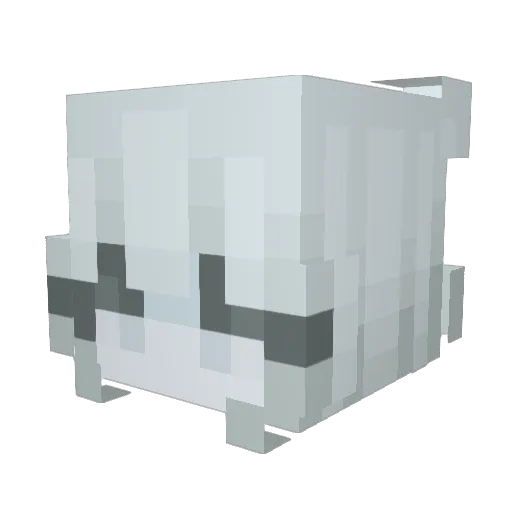 Nochu_o Minecraft avatar head, 3D render
