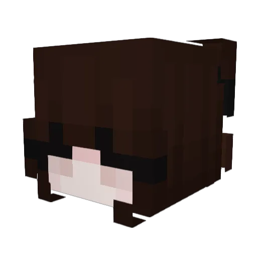 Nociva Minecraft avatar head, 3D render