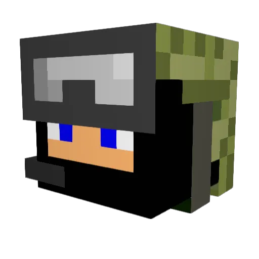 Nocool14 Minecraft avatar head, 3D render