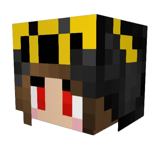 Noctafox Minecraft avatar head, 3D render