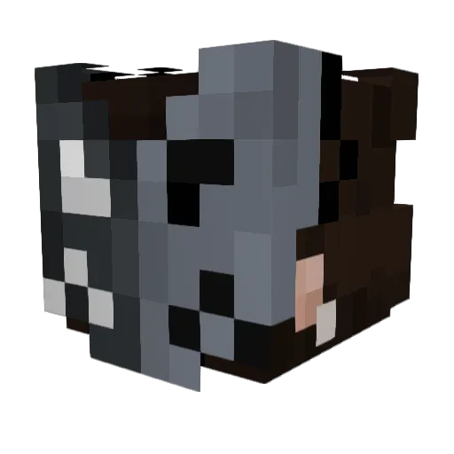 Noctbee Minecraft avatar head, 3D render
