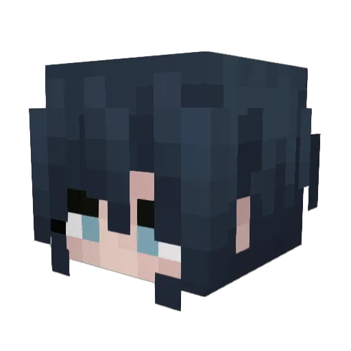 Noctenz Minecraft avatar head, 3D render
