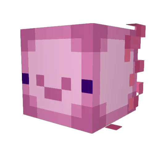 Noctifer16 Minecraft avatar head, 3D render