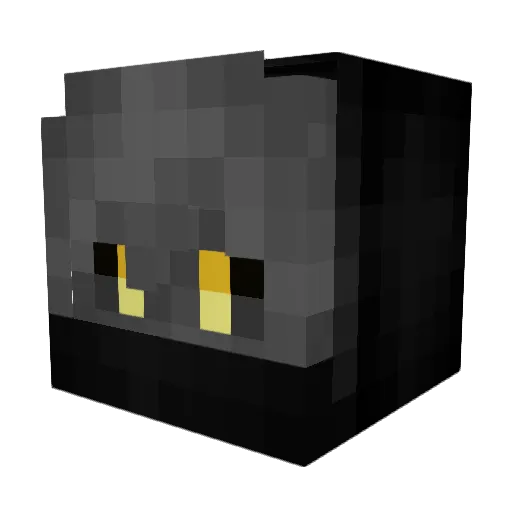 Noctirael Minecraft avatar head, 3D render
