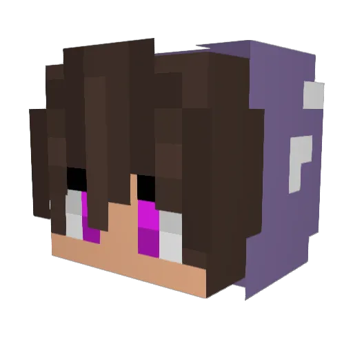 NoctisRA Minecraft avatar head, 3D render
