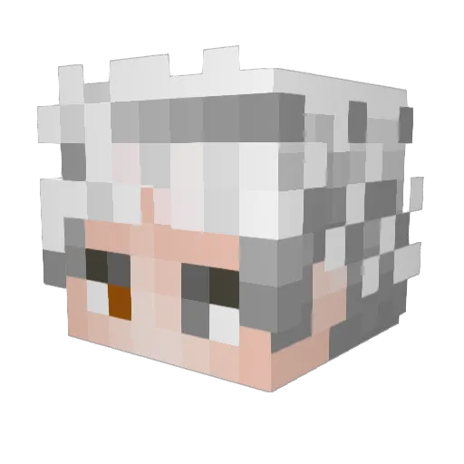 NoctisVane Minecraft avatar head, 3D render