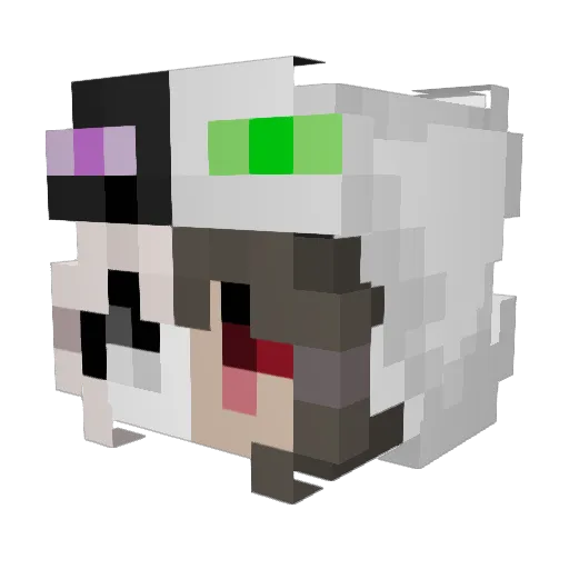 Noctrel Minecraft avatar head, 3D render