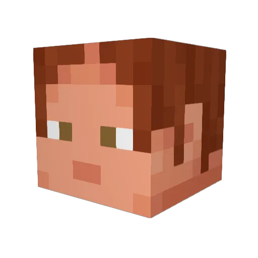 Noctronoid Minecraft avatar head, 3D render