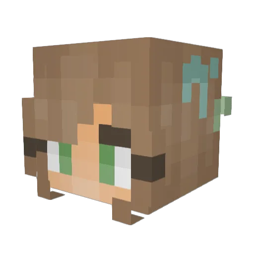 Noctuart Minecraft avatar head, 3D render