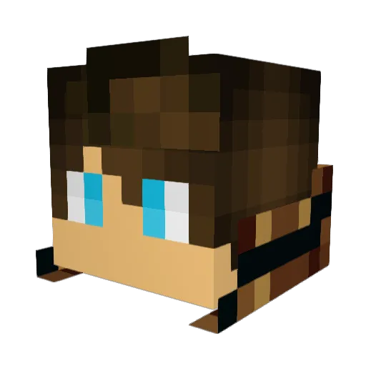 Noctunix Minecraft avatar head, 3D render