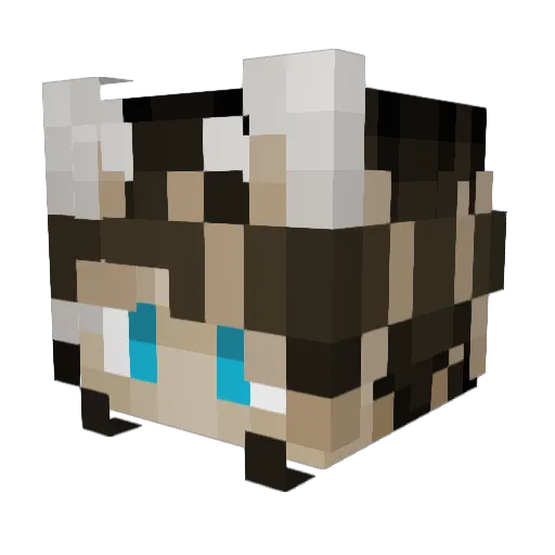 Nocturn360 Minecraft avatar head, 3D render