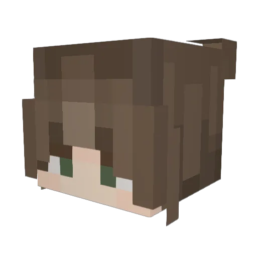 Nocturn3707 Minecraft avatar head, 3D render